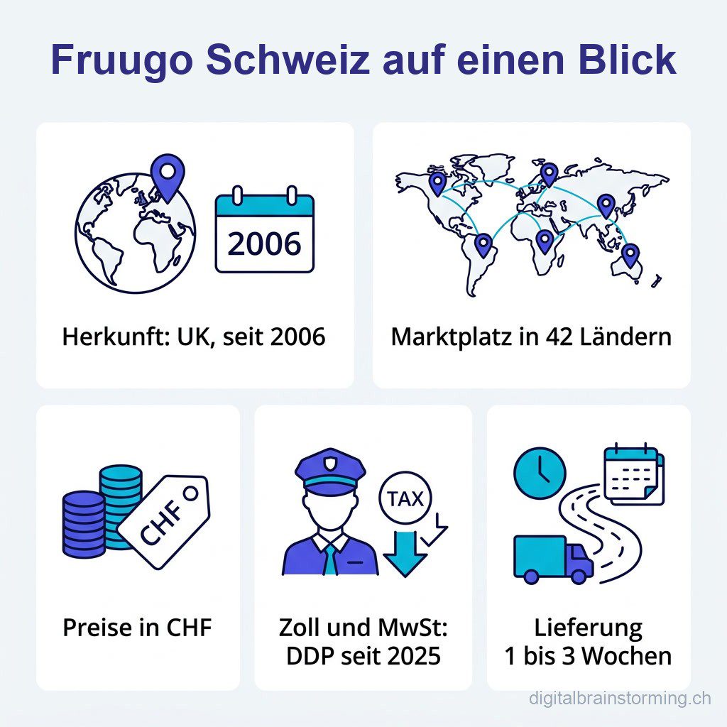 Fruugo Schweiz auf einen Blick - Infografik