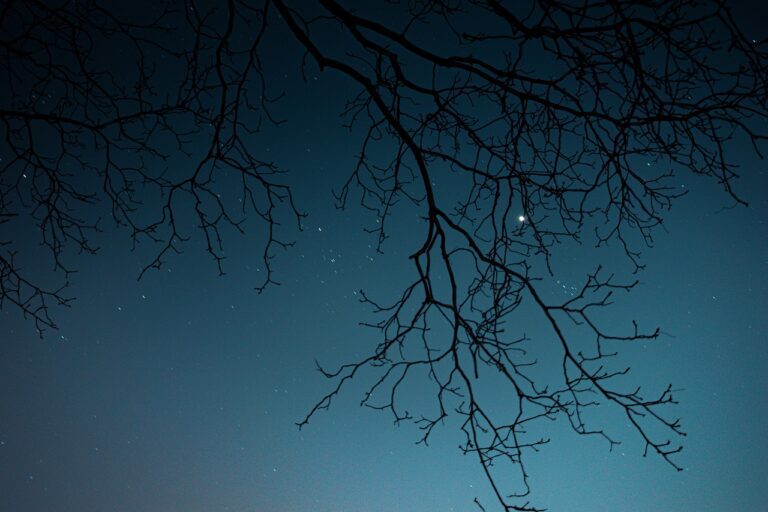 KI und Astronomie: Sterne und Algorithmen