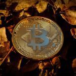 Krypto und Tokenisierung: Die Zukunft der Vermögenswerte?