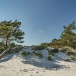 Cloud Computing: Flexibilität in der digitalen Welt