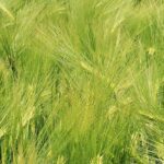 Datenschutz in der Cloud: Was du wissen musst