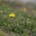 Die Bedeutung von Retargeting im E-Commerce: Kunden erneut ansprechen