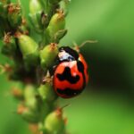 Die Bedeutung von User Experience im E-Commerce