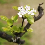 Die Zukunft des E-Commerce: Wie sich der Online-Handel entwickelt