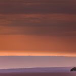 Die Zukunft des Gamings: Interaktive Storytelling-Spiele