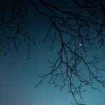 KI und Astronomie: Sterne und Algorithmen