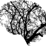 KI und Umweltschutz: Ein Hoffnungsschimmer?